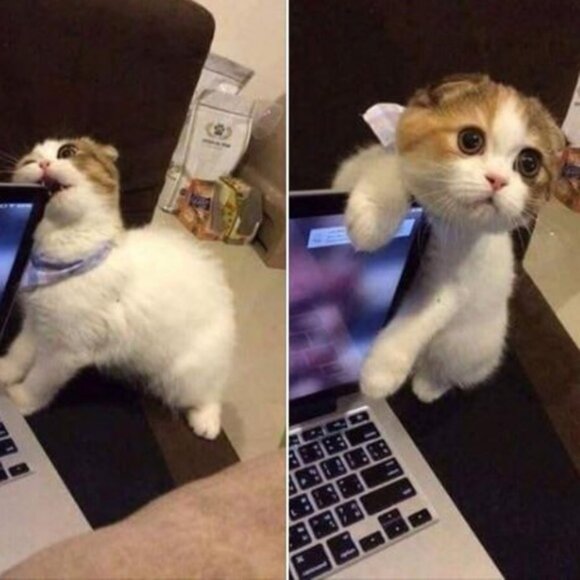 Meet me here - Picture 5 of 5